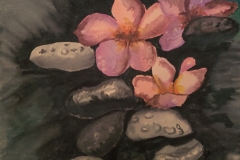 River-Rocks-and-Lotus