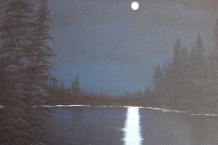 43 Moonlit Lake