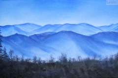 49 Smokey Mountains Vista