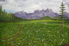 Mike79 Sawtooth Mountains Springtime