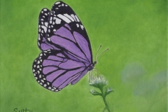 Mike80 Lavender Lunch