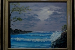 Moonlit Bay Framed