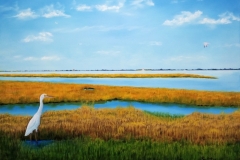 Patient Vigil at Toms Cove Marsh