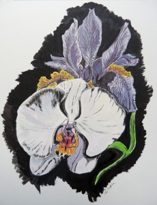 Iris-n-Orchid